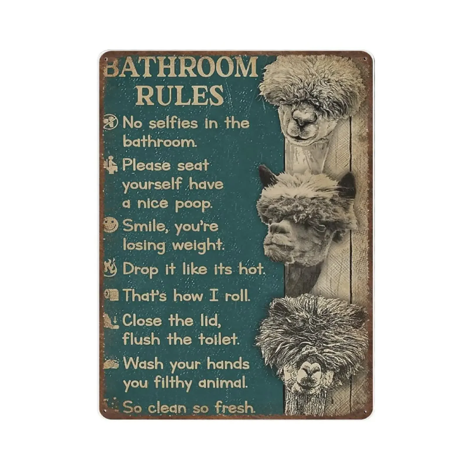 Home Bathroom Rules - Vintage Metal Tin Sign Plaque, Bathroom