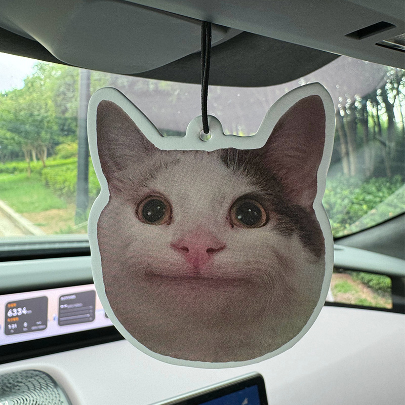 Sad Cat Emoticon Pack Hilton ( - Home Bathroom Freshener avaliação e preço