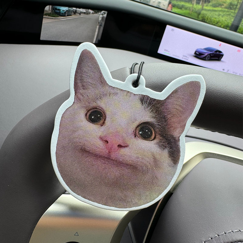 Sad Cat Emoticon Pack Hilton ( - Home Bathroom Freshener avaliação e preço